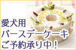 �����p�o�[�X�f�[�P�[�L���\���t���I