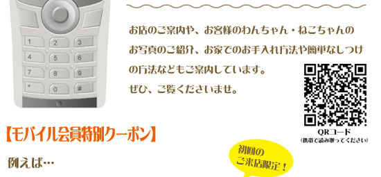 �R�R�b�g�x�[���g�у��o�C���T�C�g