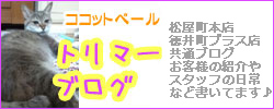 �R�R�u��